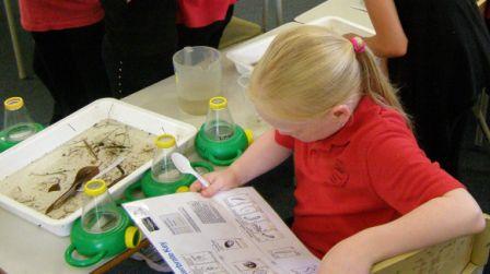 Environmental studies