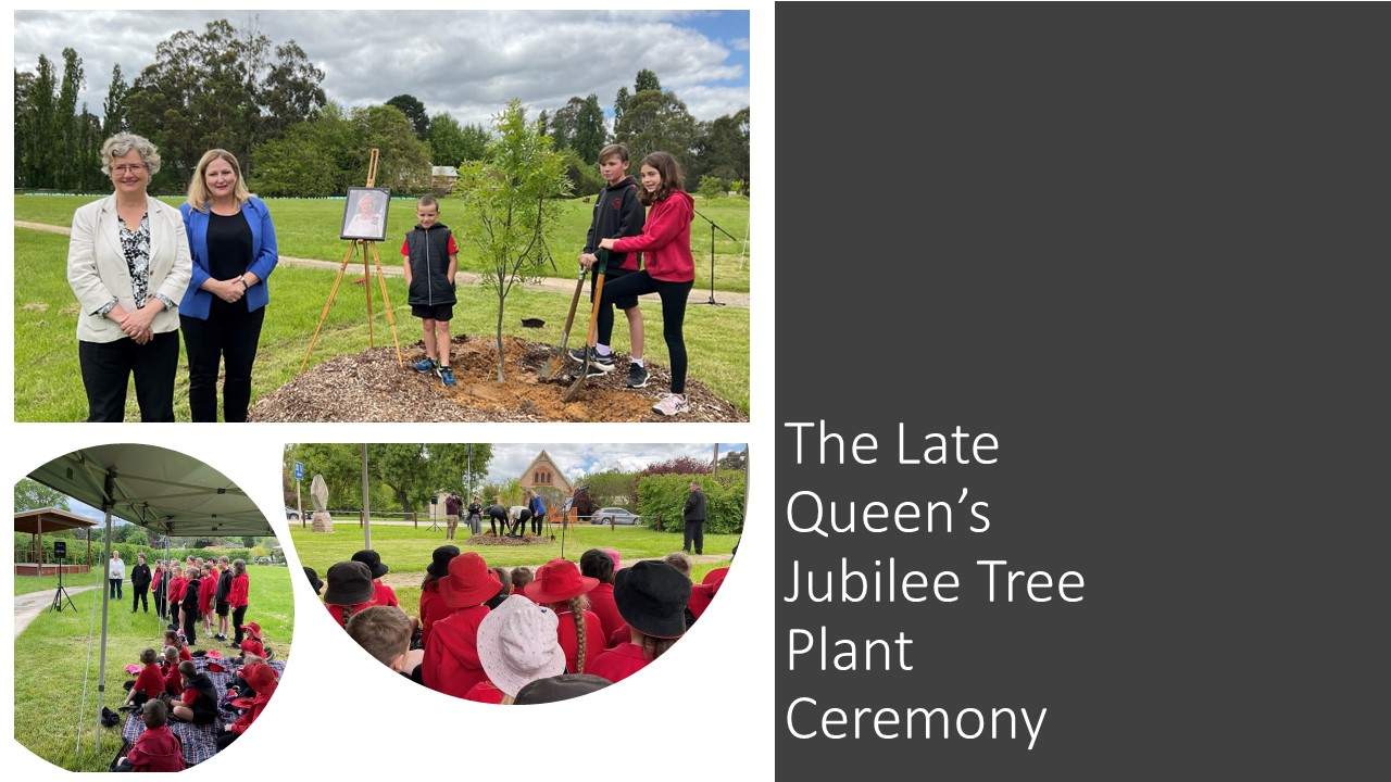 Community Connections