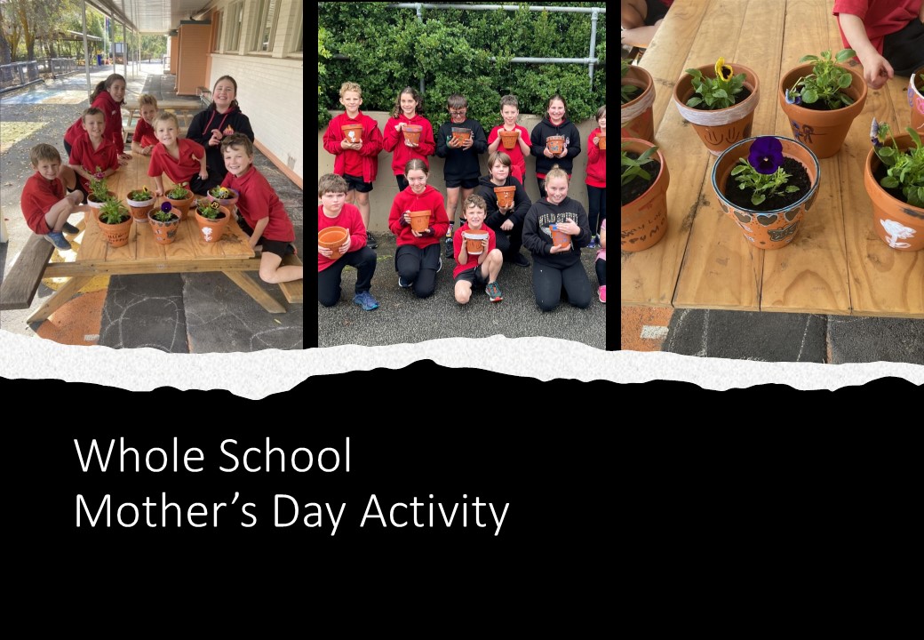 Whole School Activity